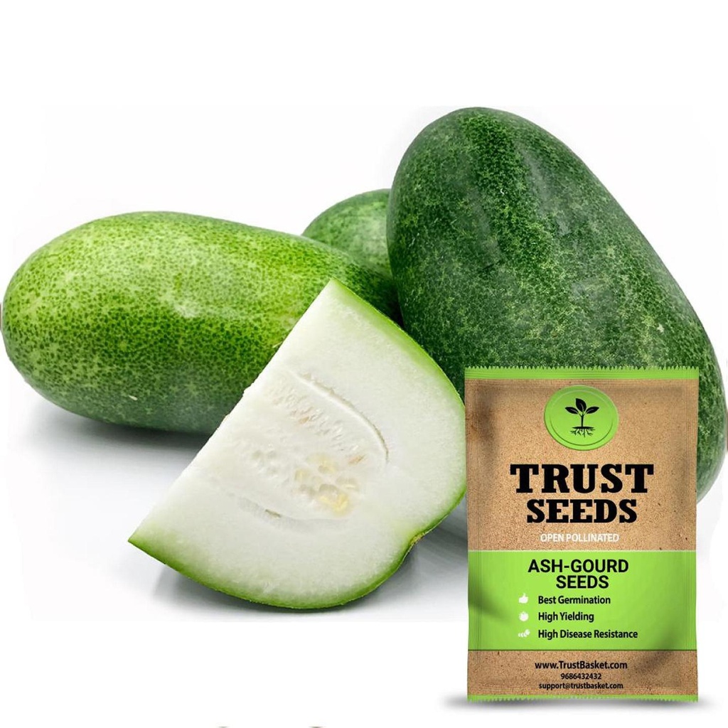 [TBSSS393] Ash Gourd Seeds (OP)