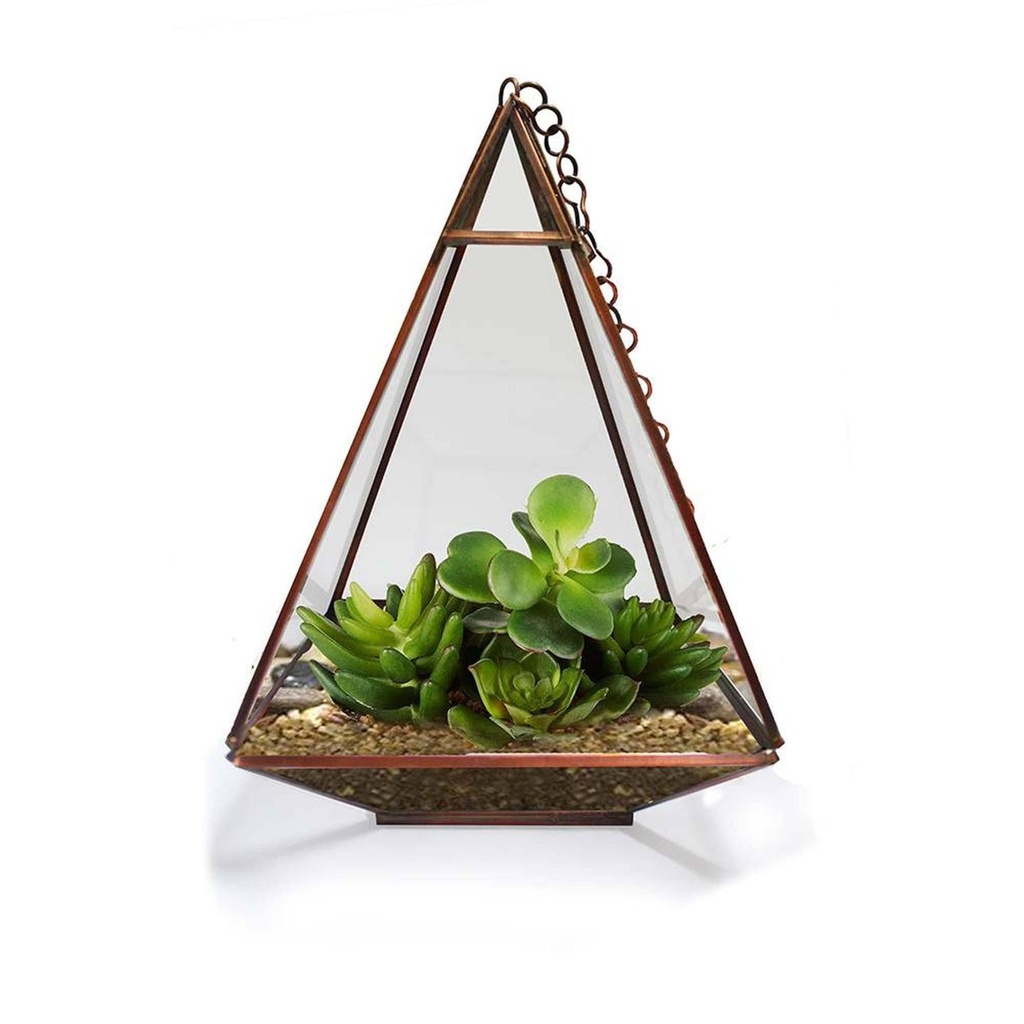 [TBSSS361] Triangular Tower Terrarium