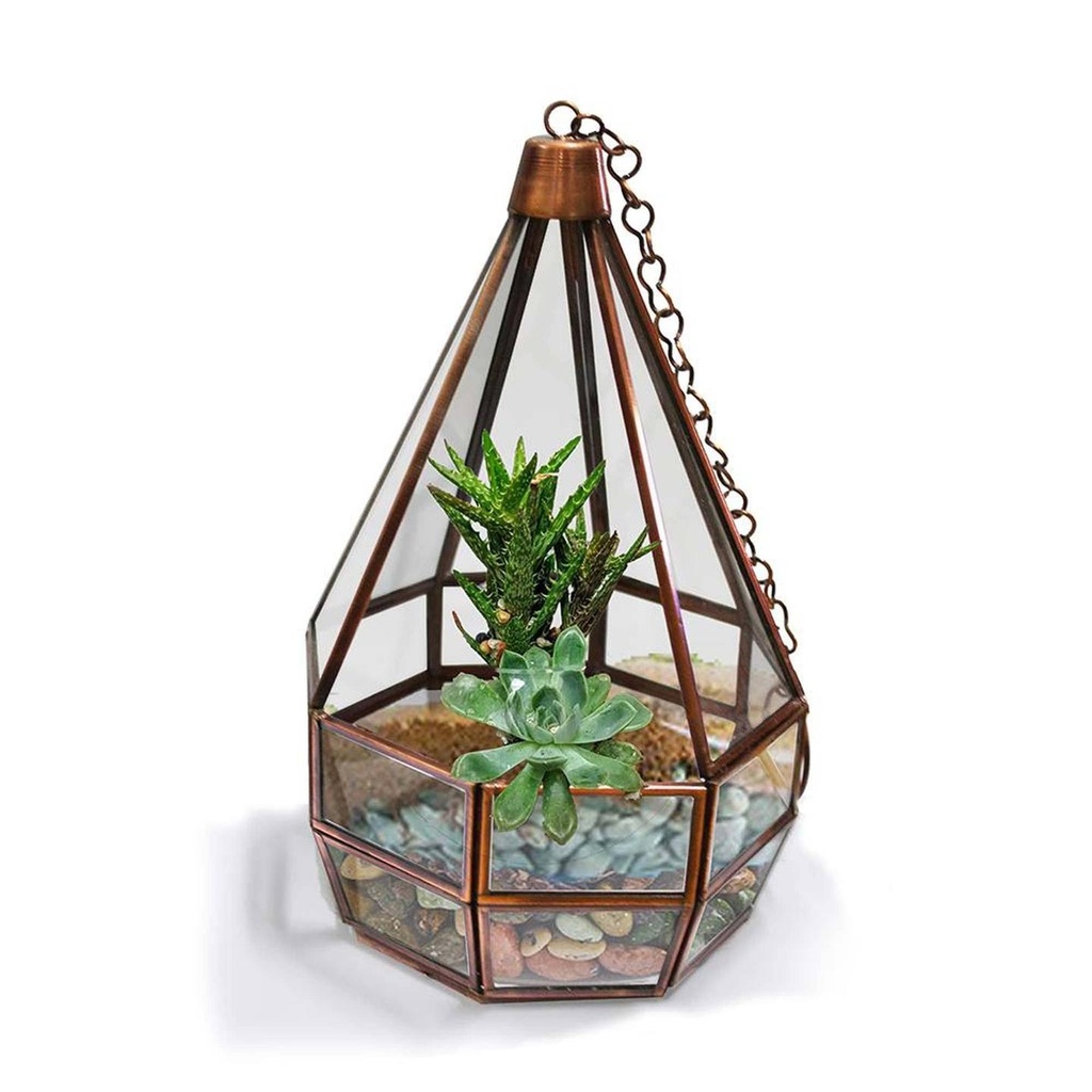 [TBSSS360] Cone Tower Terrarium