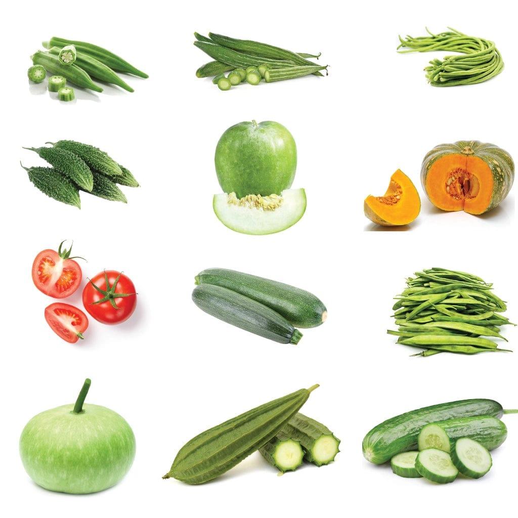 [TBSSS234] Summer Vegetable Seeds Kit (Set of 12 Packets)
