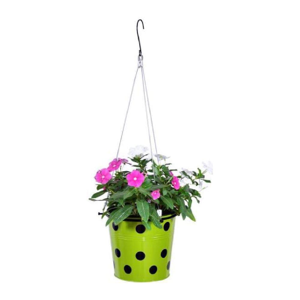 [TBSSS173] TrustBasket Dotted Round Planter with Hanging Wire Rope (Green)