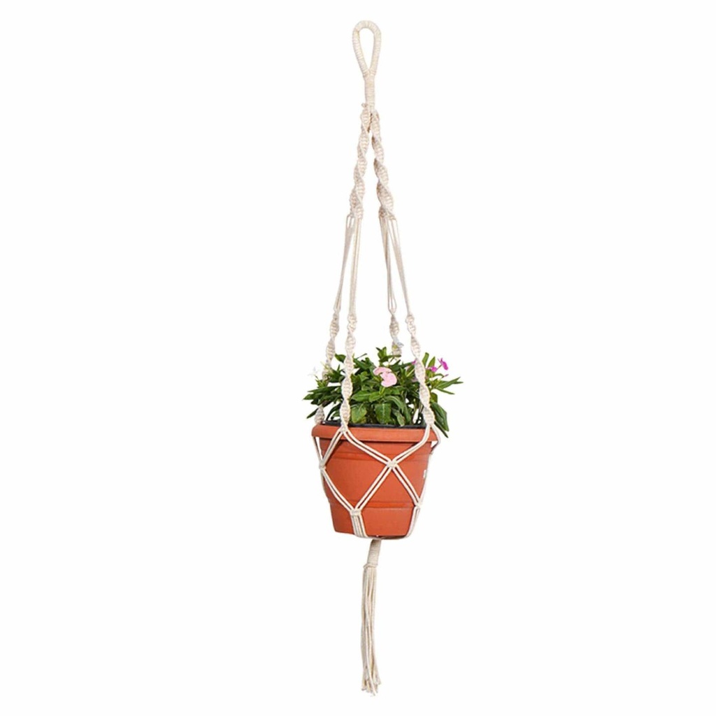 TrustBasket 8 inch Plastic Planter with Contemporary Hanger