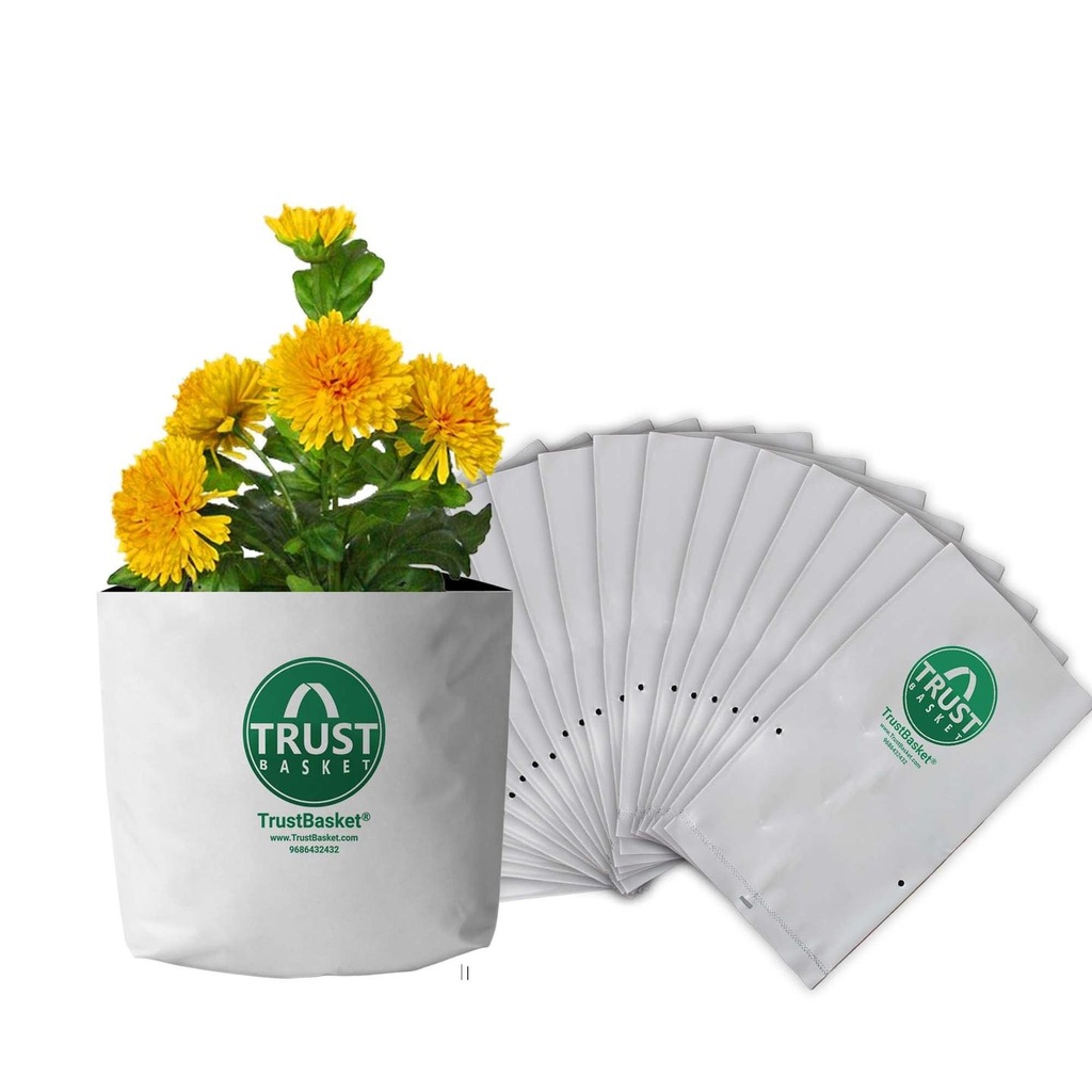 [GM0032] TrustBasket Large Poly GrowBags UV Stabilized  -20 Qty [24cms(L)x24cms(W)x40cms(H)]
