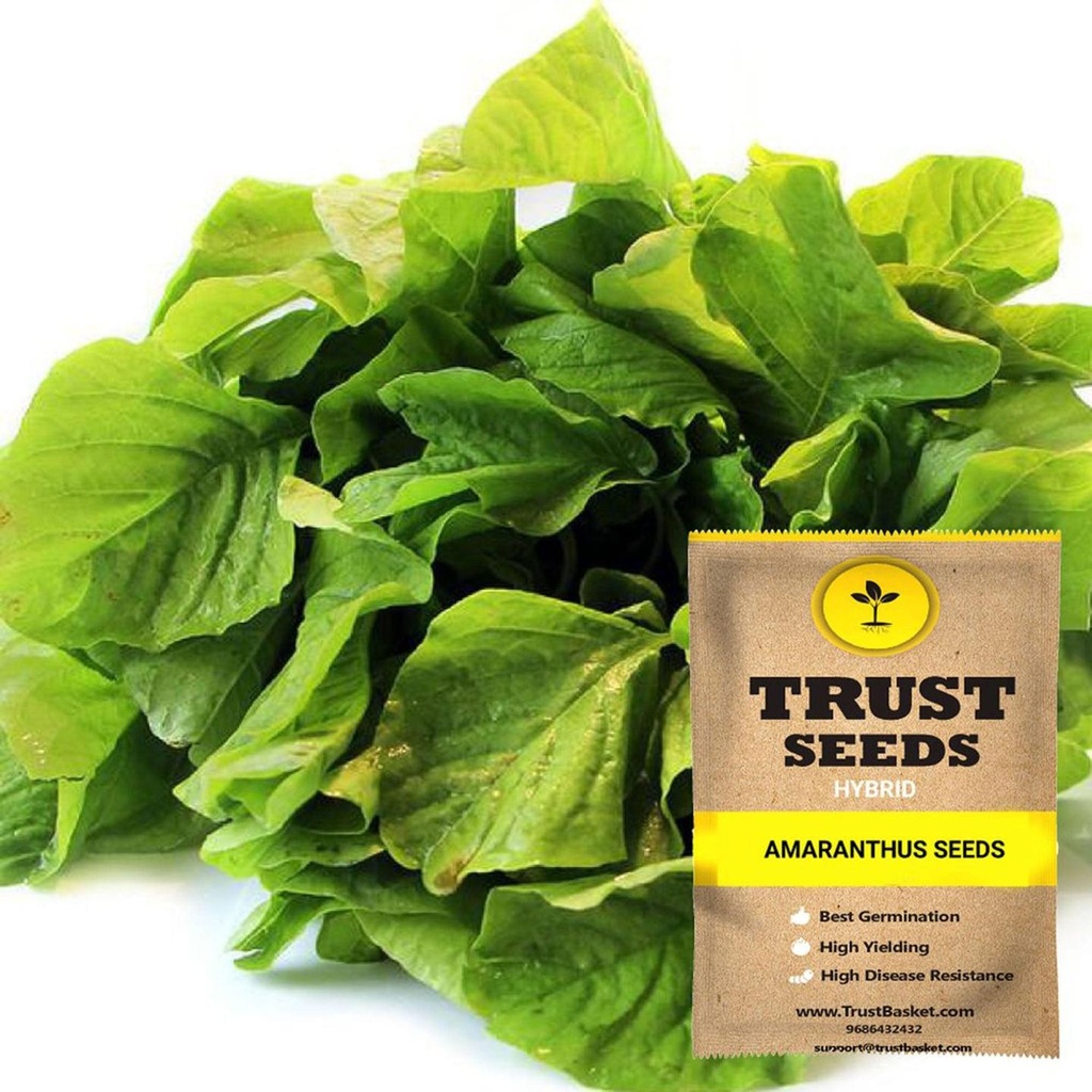 [SDHYGR5016] Amaranthus Seeds (Hybrid)