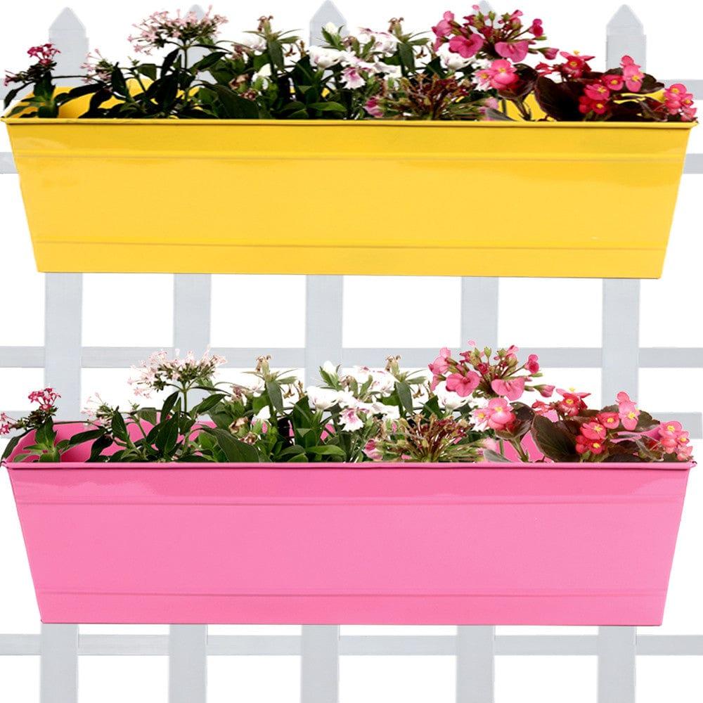 Rectangular Railing Planter -Yellow and Magenta (23 Inch) - Set of 2