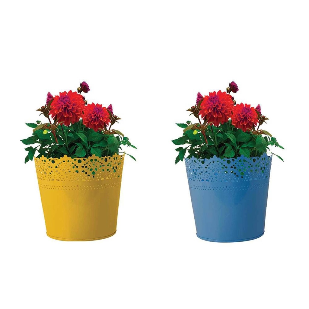 [MT0034-MT0033-16] Set Of 2 - Half Lace finish Yellow and Teal