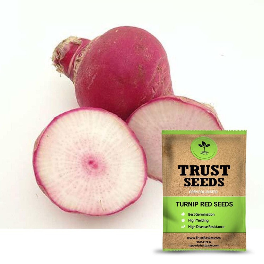 [SDOPVG1046] Turnip Red Seeds (OP)