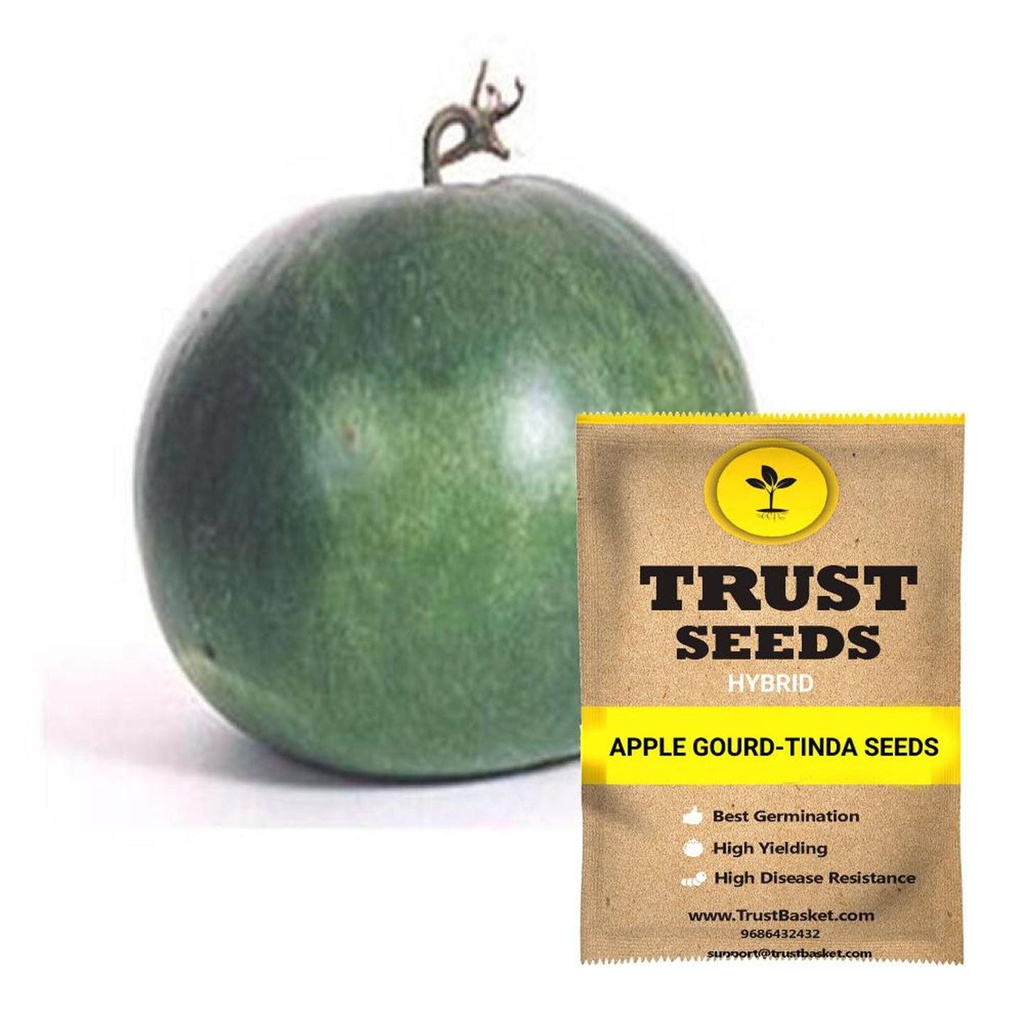 [SDHYVG4001] Apple gourd - Tinda Seeds (Hybrid)