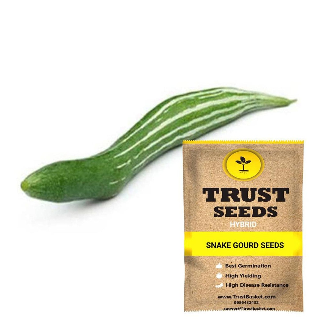 [SDHYVG4043] Snake Gourd seeds ( Hybrid )