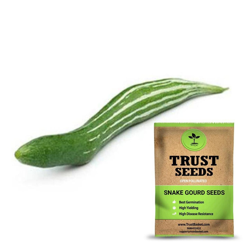 [SDOPVG1040] Snake Gourd seeds (OP)