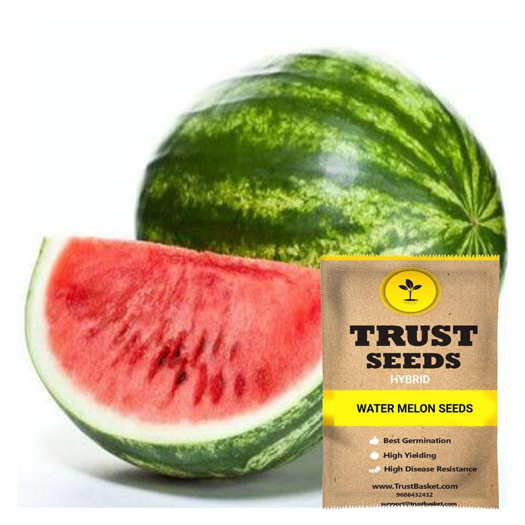 [SDHYGR5011] Water melon seeds (Hybrid)
