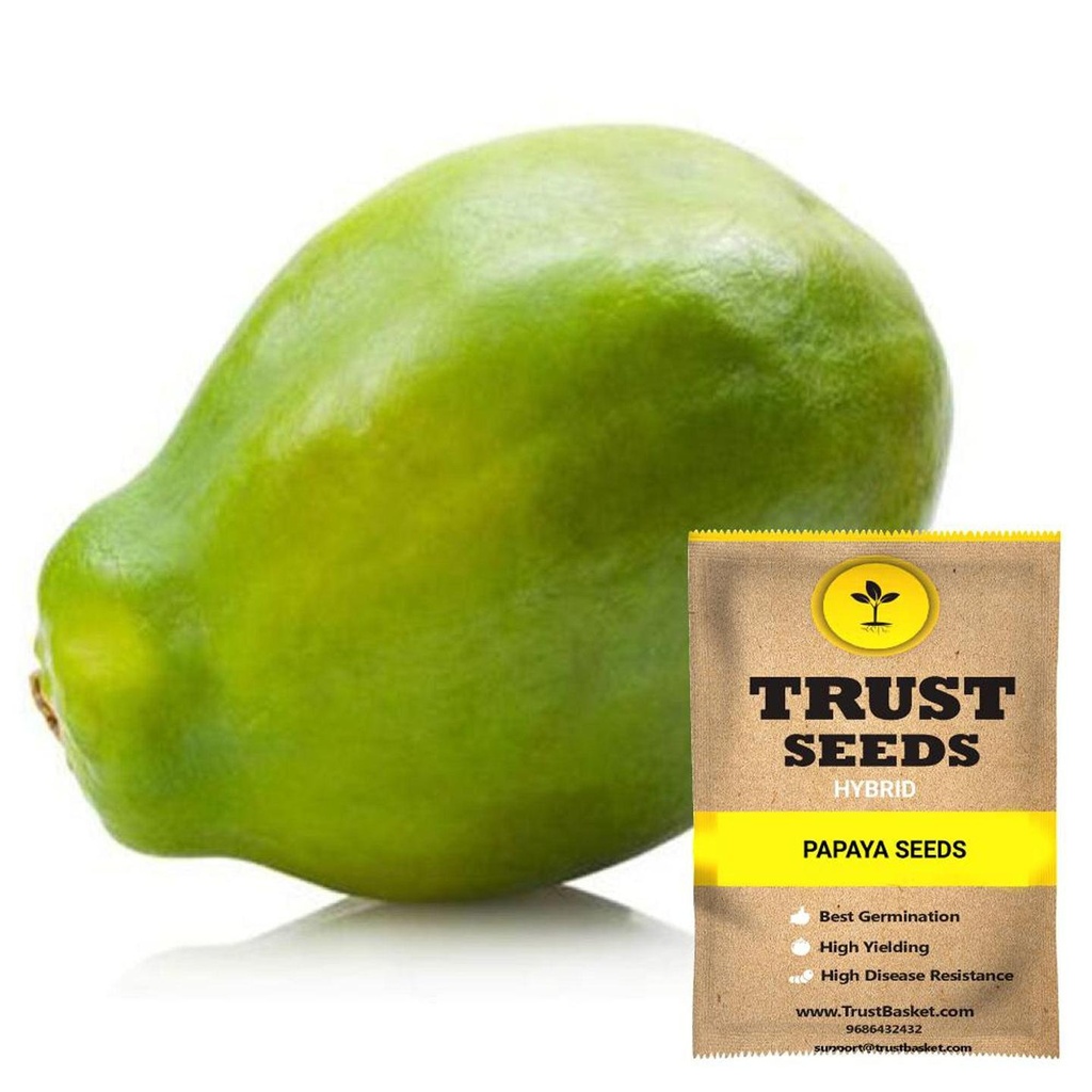 [SDHYGR5009] Papaya seeds (Hybrid)