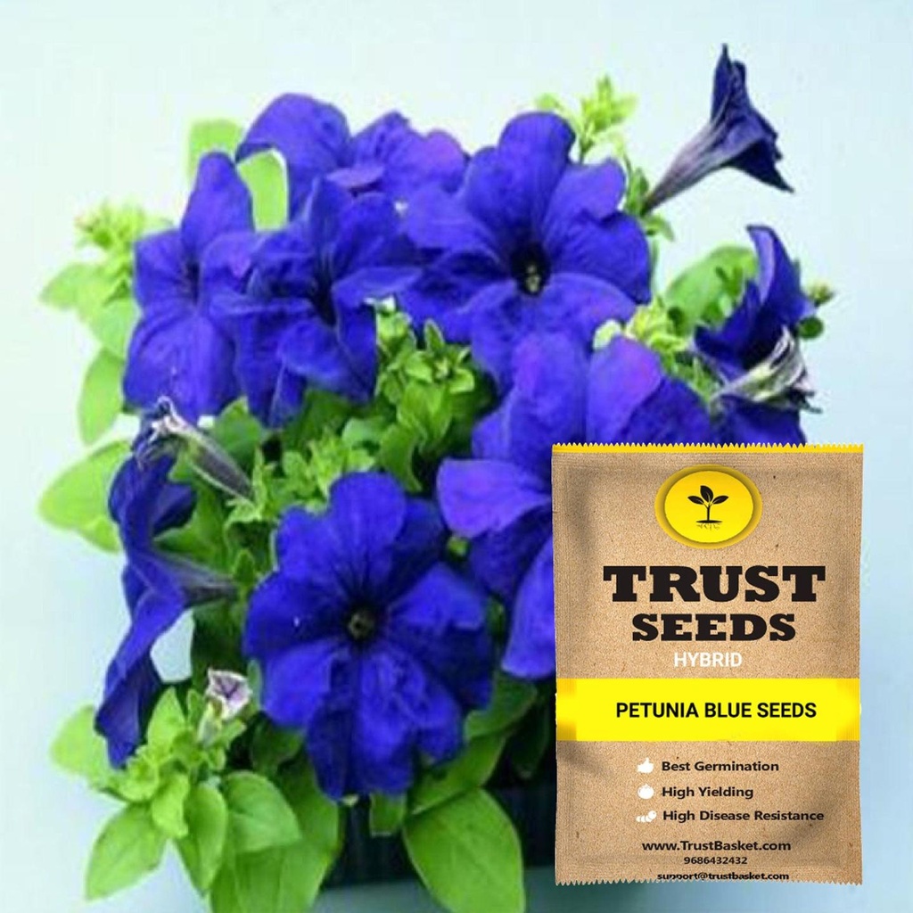 [SDHYFL4530] Petunia blue seeds (Hybrid)