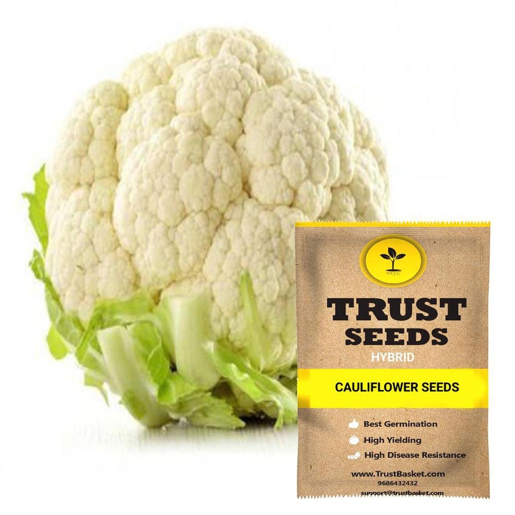 [SDHYVG4022] Cauliflower seeds (Hybrid)