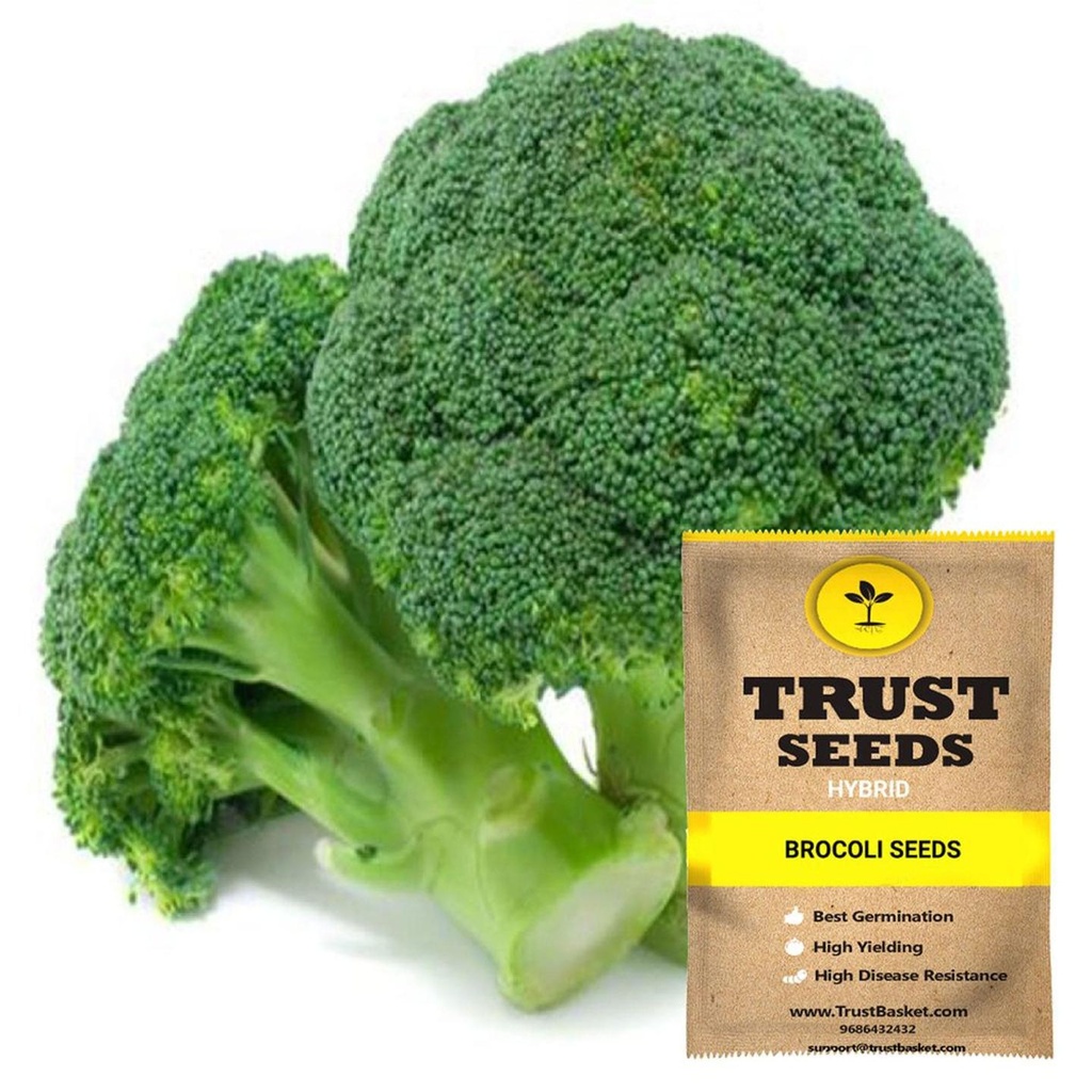 [TBSSS521] Brocoli seeds (Hybrid)