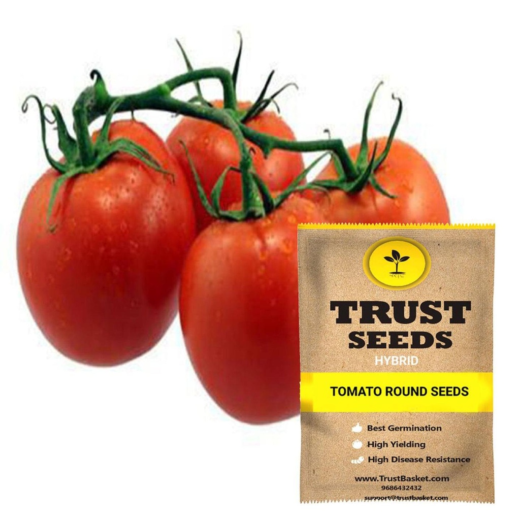 [TBSSS522] Tomato round seeds (Hybrid)