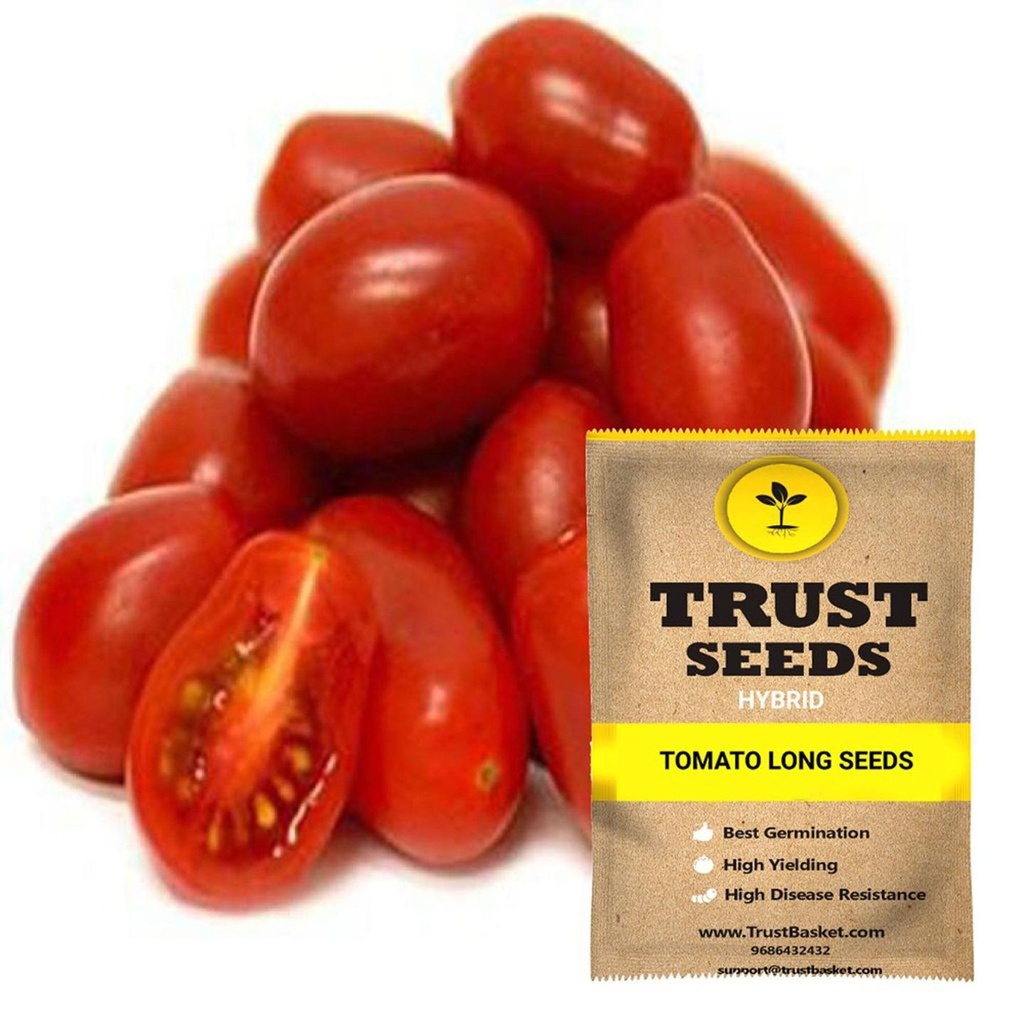 [SDHYVG4046] Tomato long seeds (Hybrid)