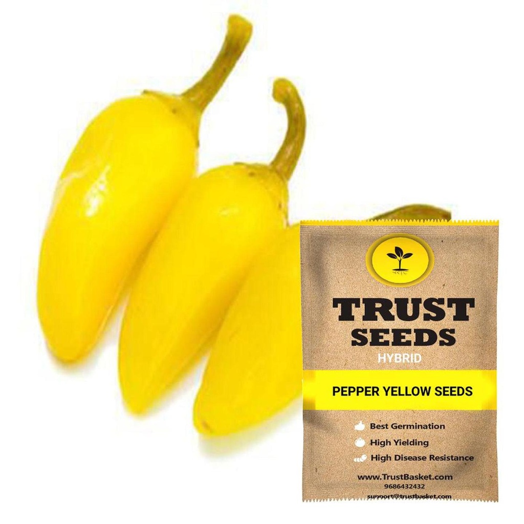 [SDHYVG4037] Pepper yellow seeds (Hybrid)