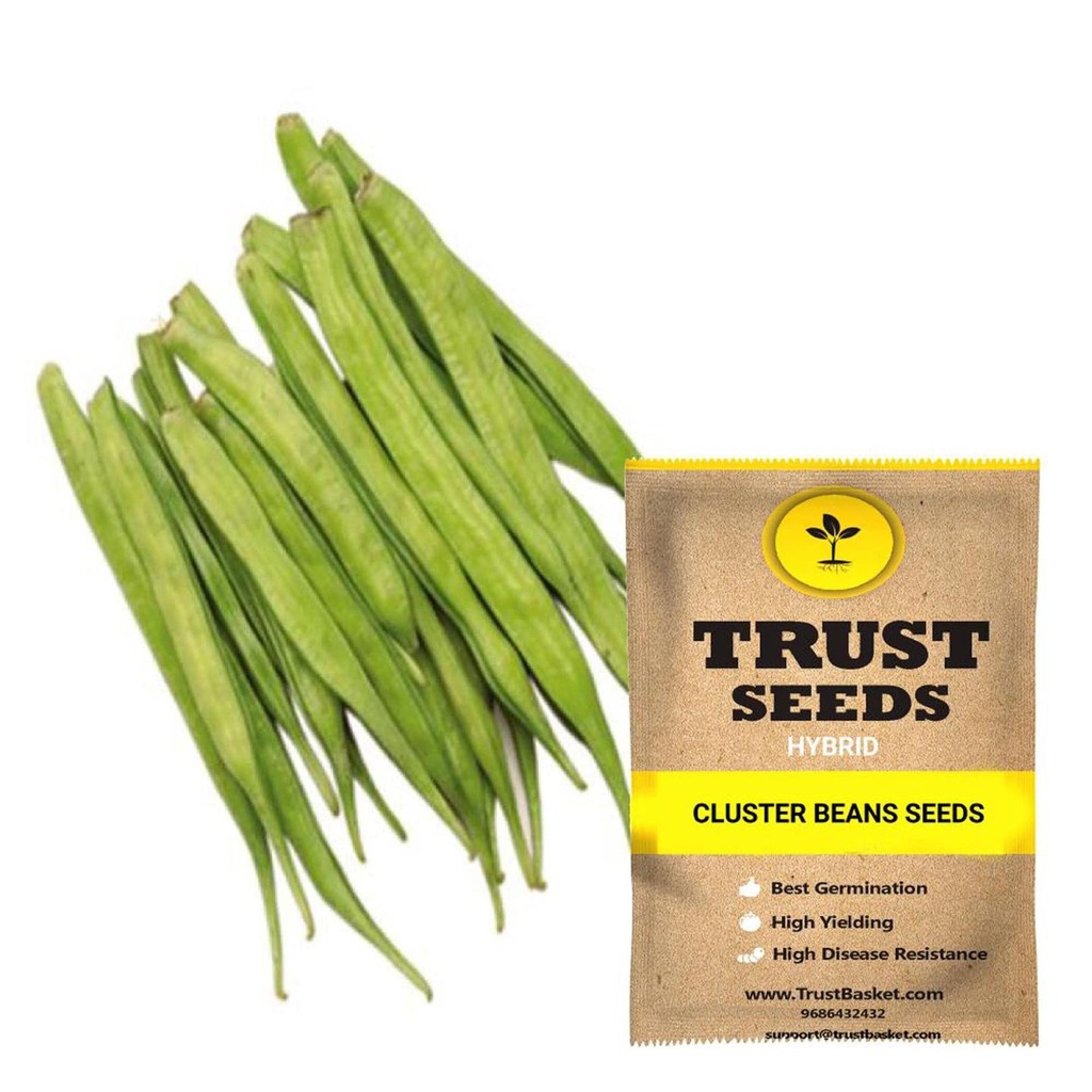 [SDHYVG4027] Cluster beans seeds (Hybrid)
