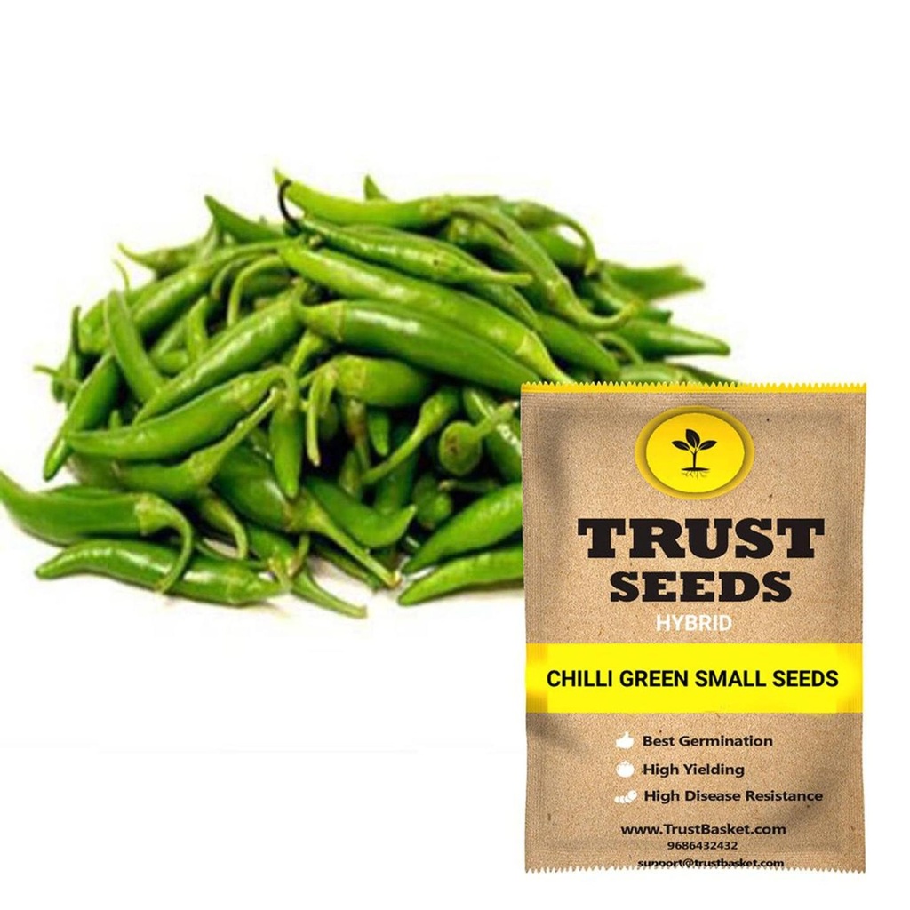 [SDHYVG4026] Chilli green small seeds (Hybrid)
