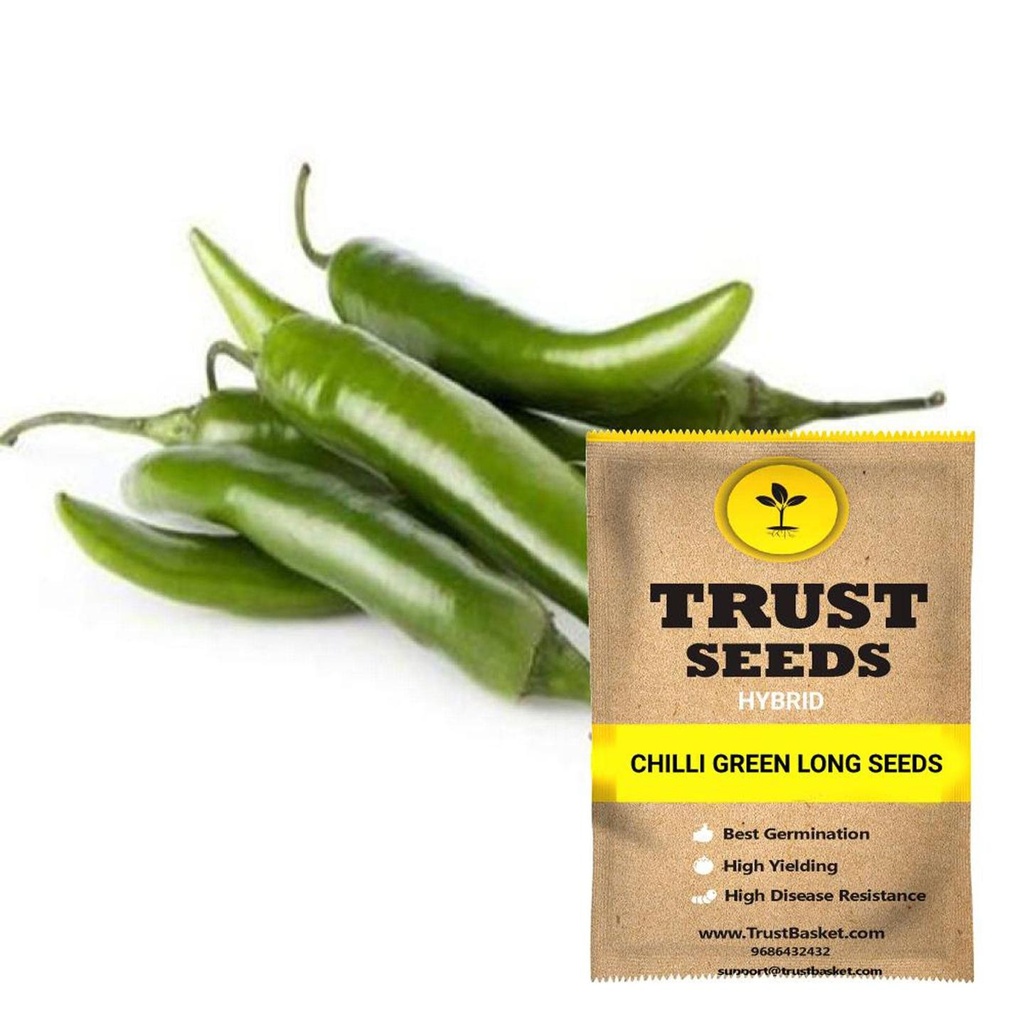 [SDHYVG4025] Chilli green long seeds (Hybrid)