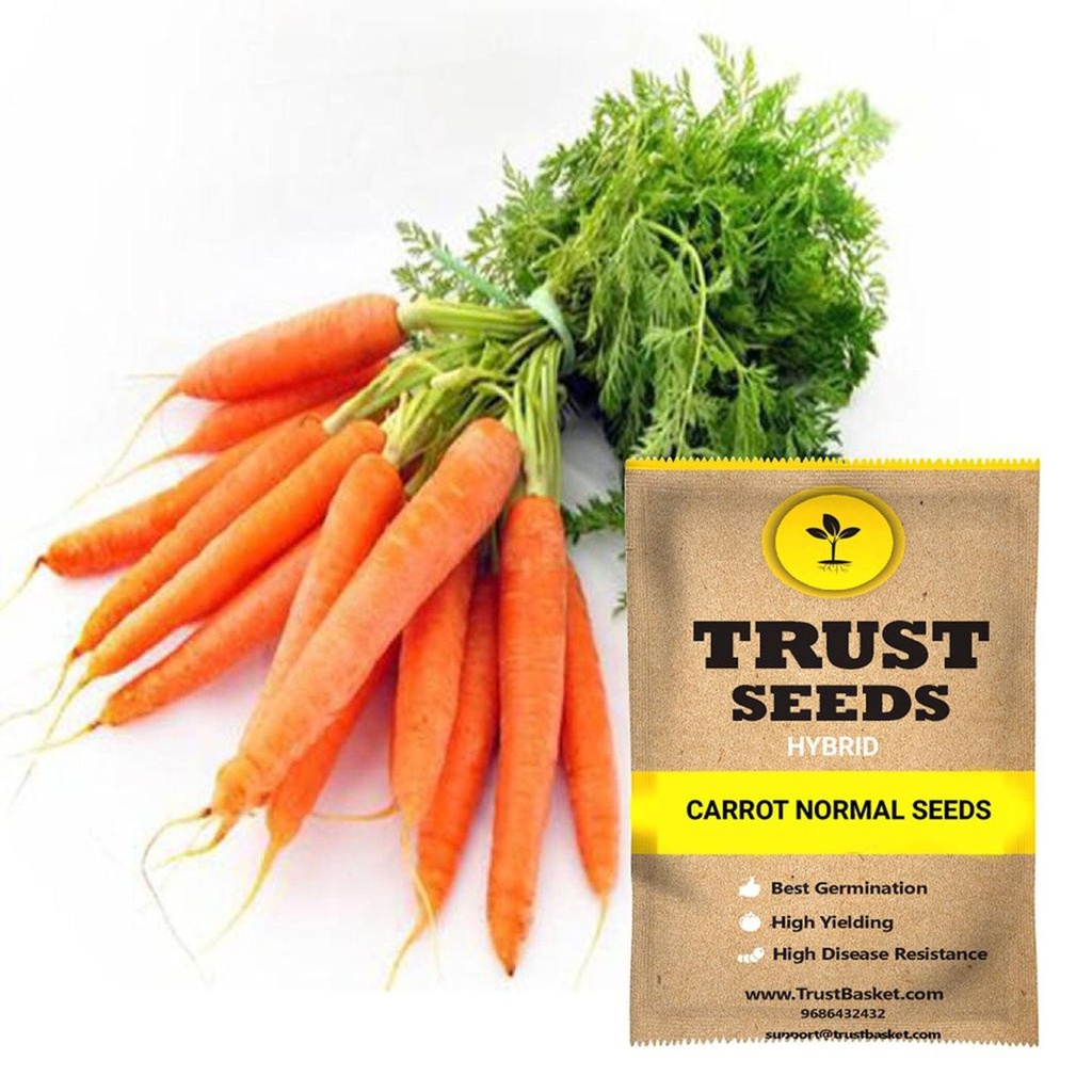[SDHYVG4021] Carrot normal seeds (Hybrid)
