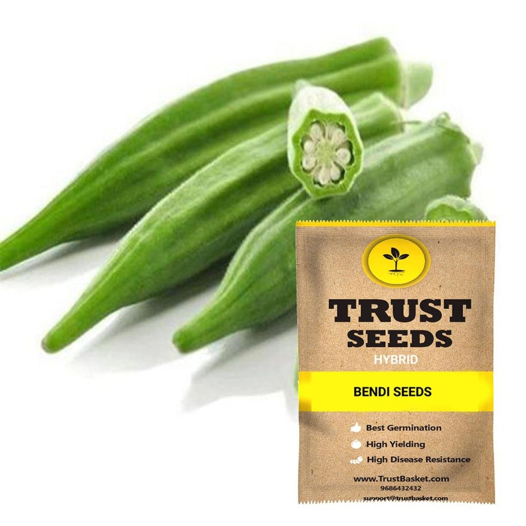 [SDHYVG4004] Bhindi seeds-Hybrid
