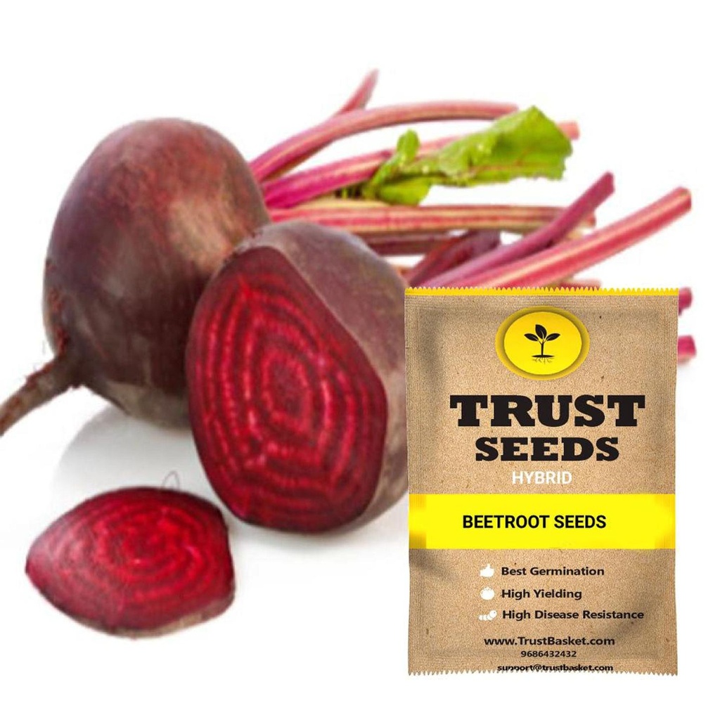 [SDHYVG4003] Beetroot seeds (Hybrid)