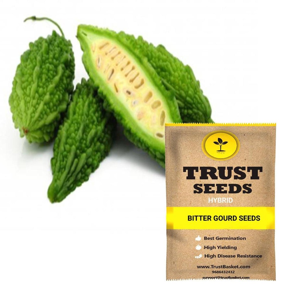[SDHYVG4005] Bitter gourd seeds (Hybrid)