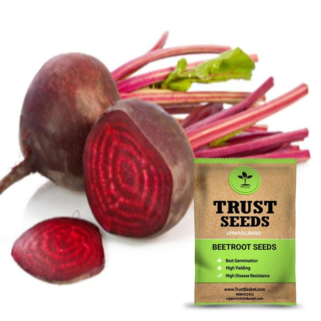 [SDOPVG1002] Beetroot seeds (Open Pollinated)