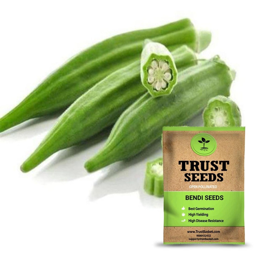 [SDOPVG1003] Bhindi seeds (Open Pollinated)