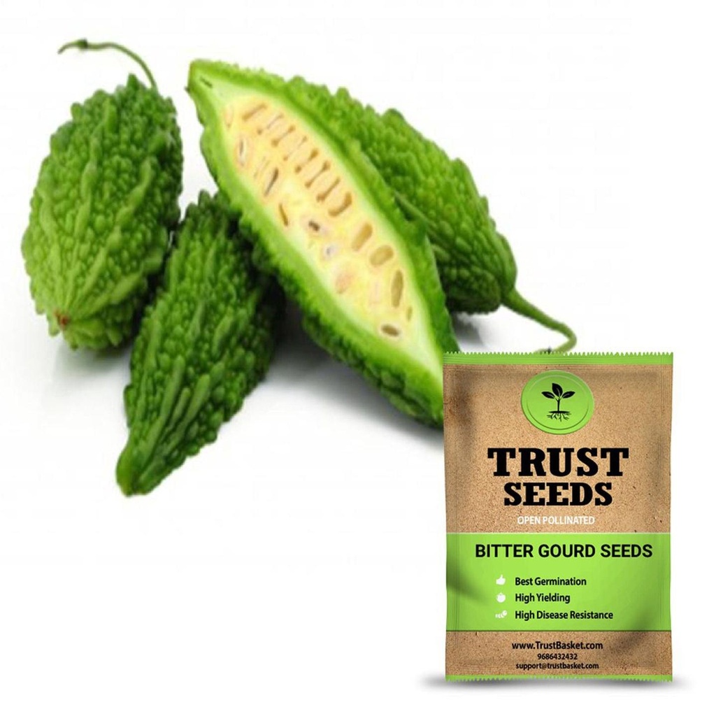 [SDOPVG1004] Bitter gourd seeds (Open Pollinated)