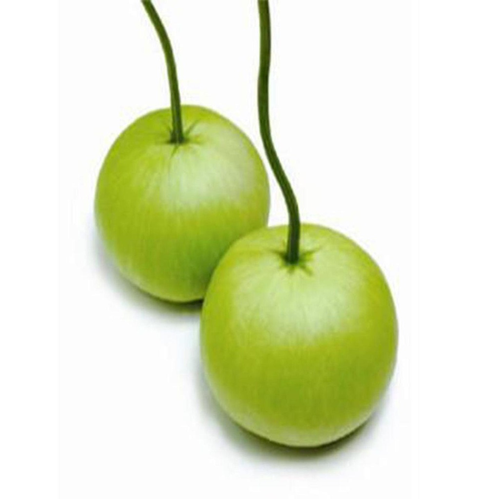 [SDOPVG1006] Bottle gourd round seeds (Open Pollinated)