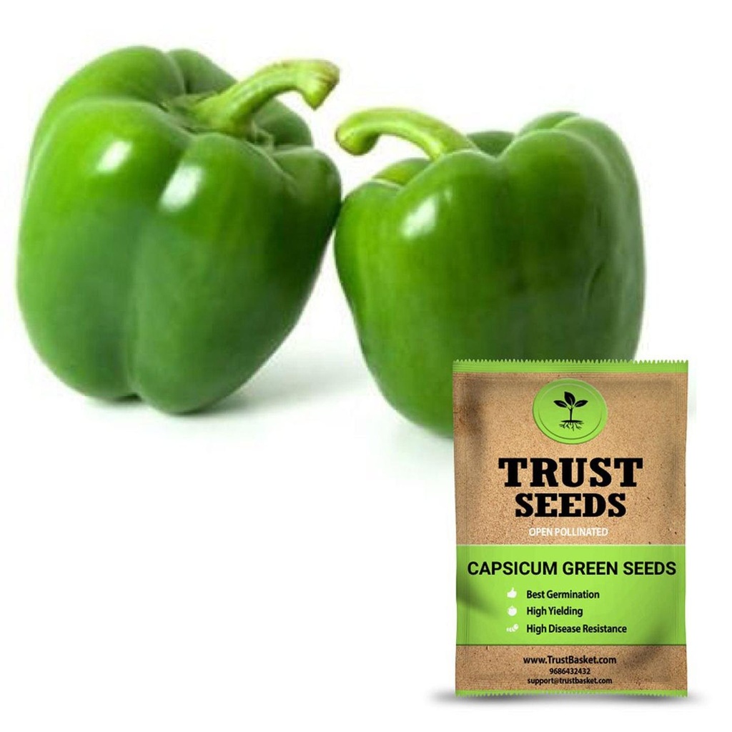 [SDOPVG1014] Capsicum green seeds(Open Pollinated)