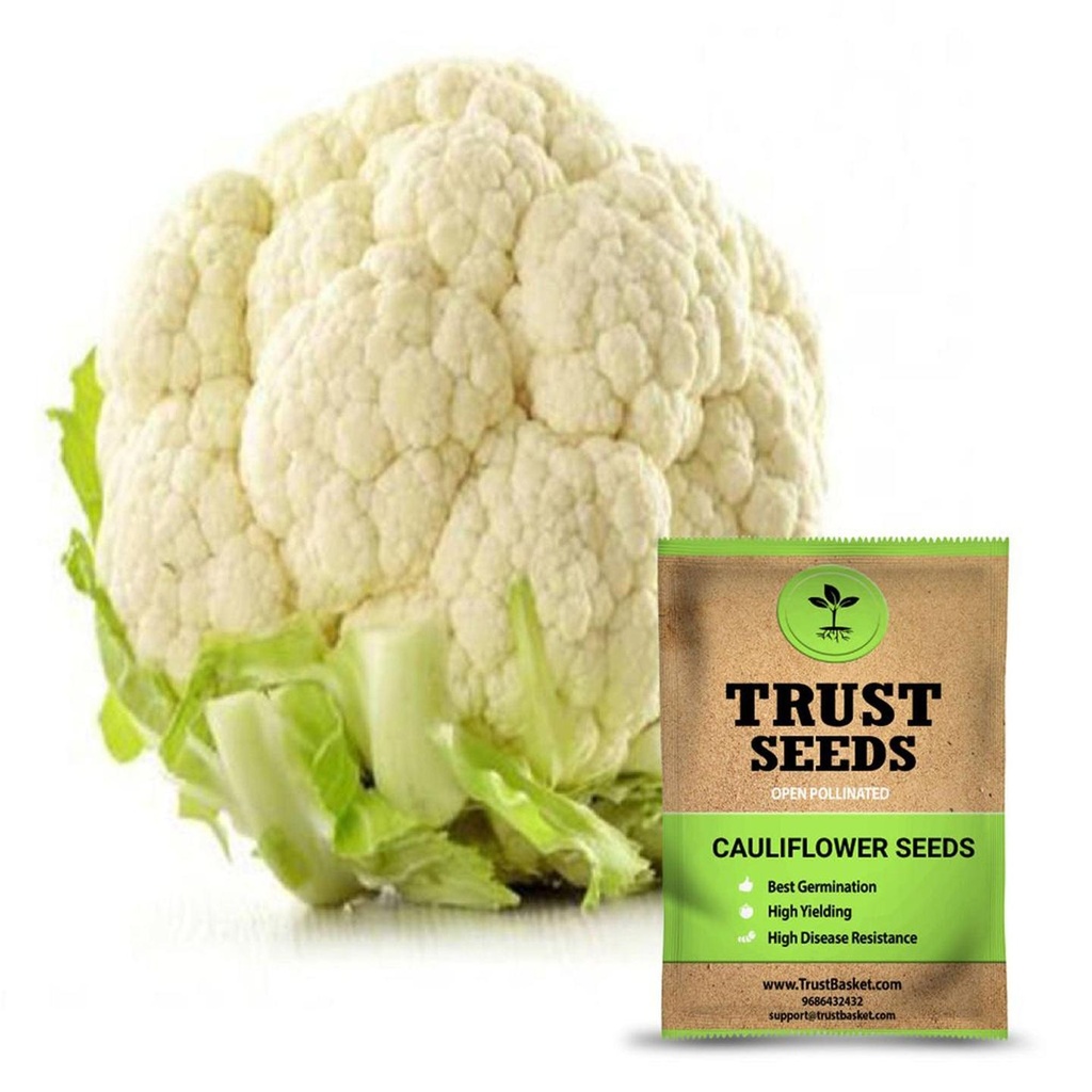 [SDOPVG1018] Cauliflower seeds (Open Pollinated)