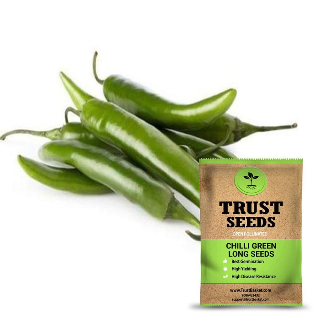 [SDOPVG1020] Chilli green long seeds (Open Pollinated)