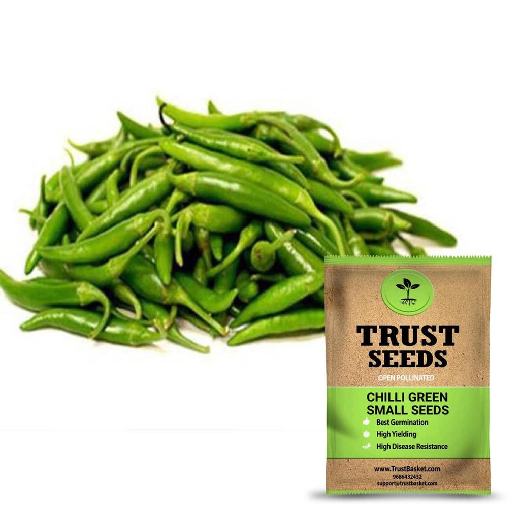 [SDOPVG1021] Chilli green small seeds (Open Pollinated)