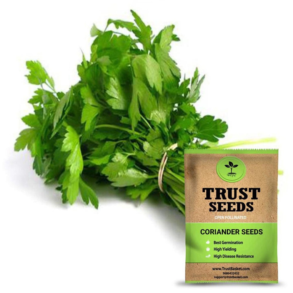 [SDOPGR2001] Coriander seeds (Open Pollinated)
