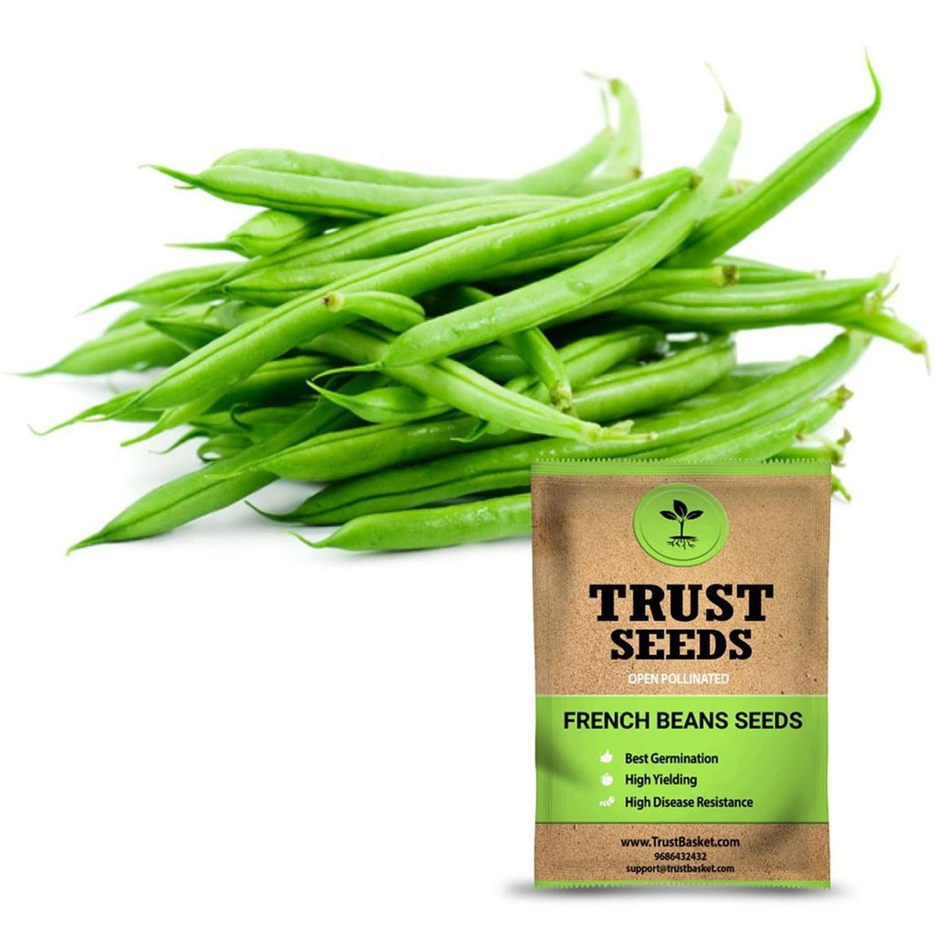 [SDOPVG1029] French beans seeds (Open Pollinated)