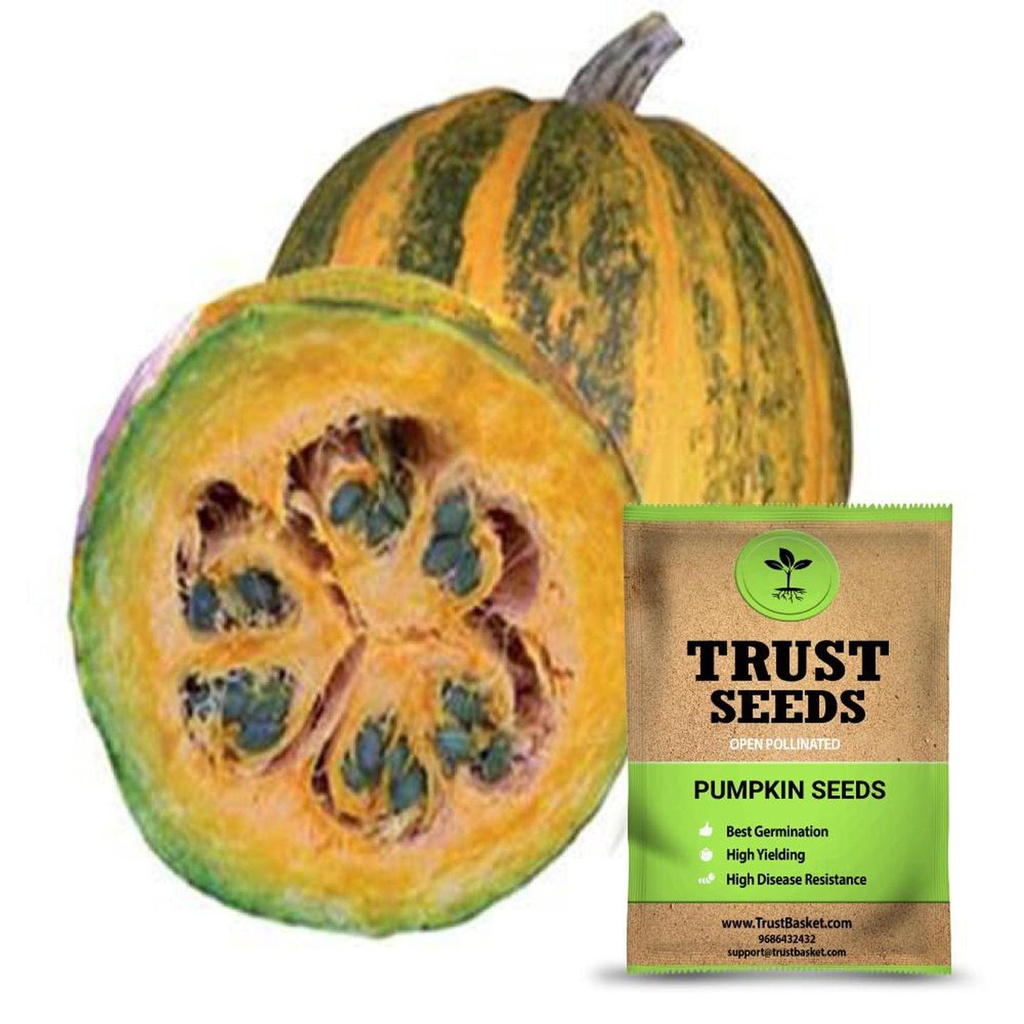 [SDOPVG1036] Pumpkin seeds (OP)