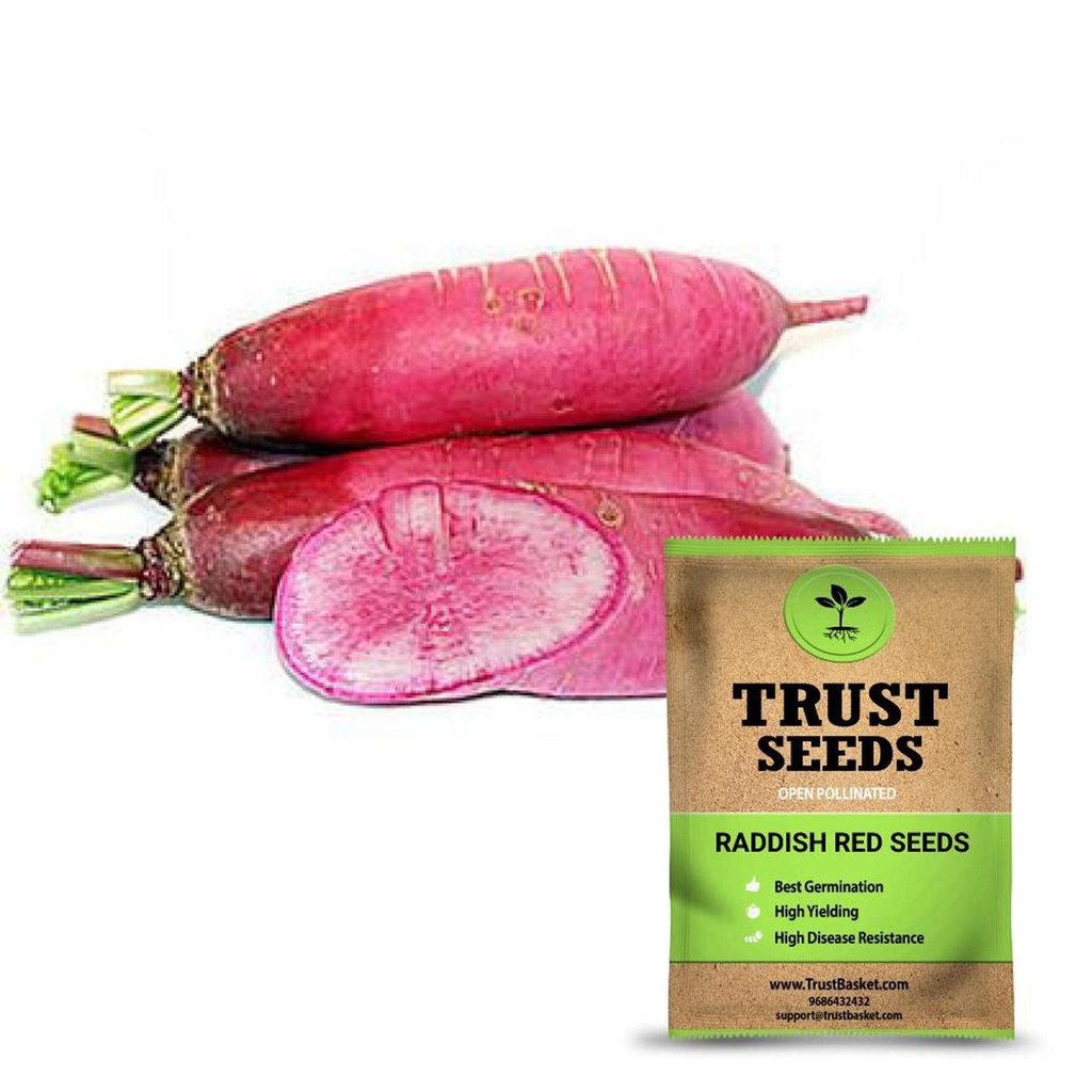 [SDOPVG1038] Raddish red seeds (OP)