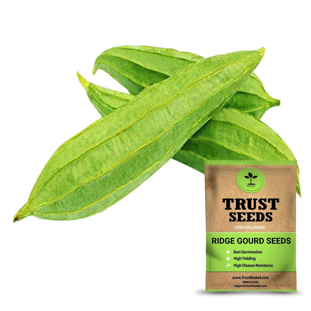 [SDOPVG1039] Ridge gourd seeds (OP)