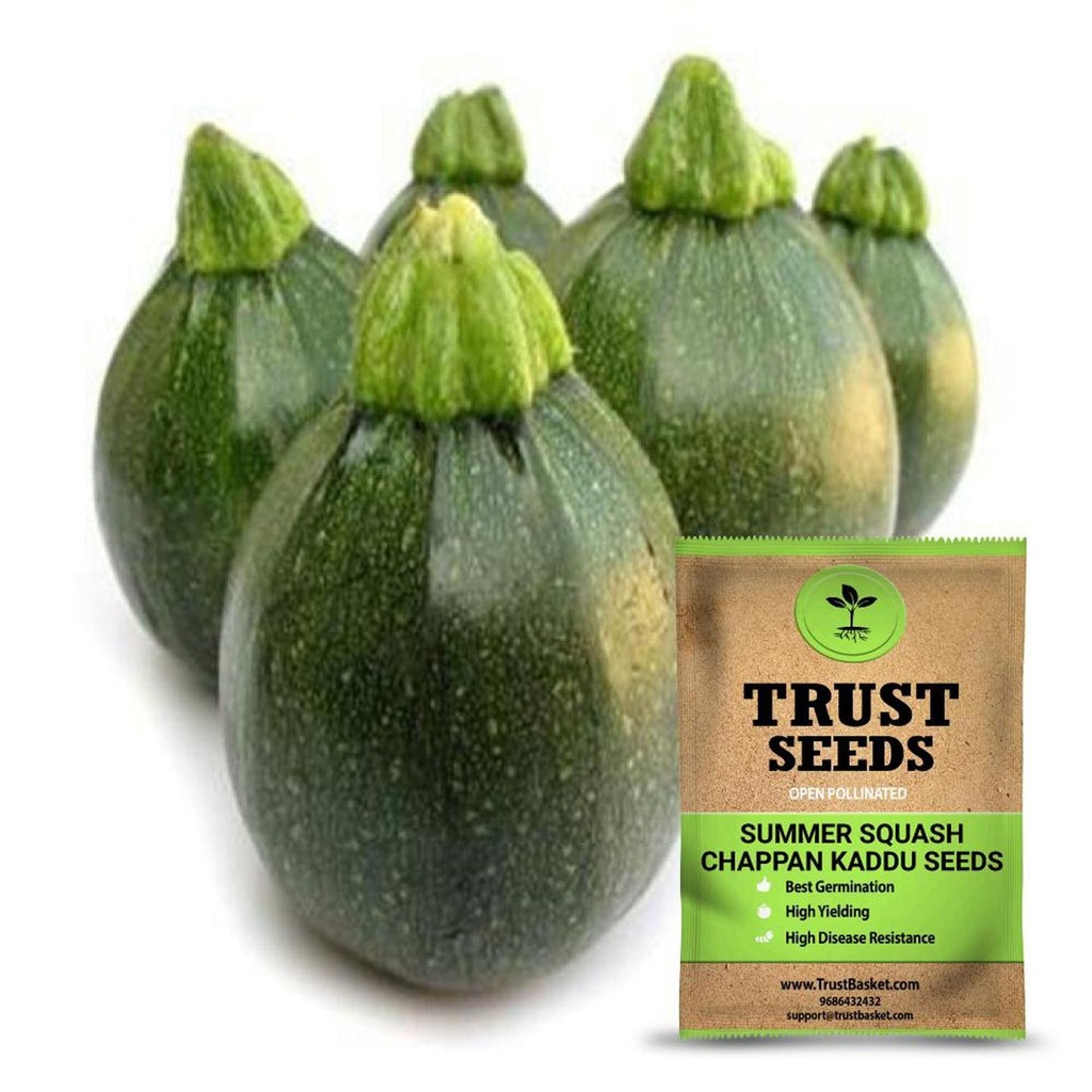 [SDOPVG1041] Summer squash - Chappan Kaddu seeds (OP)