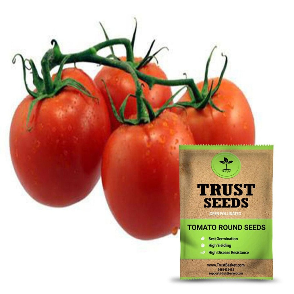 [SDOPVG1044] Tomato round seeds (OP)
