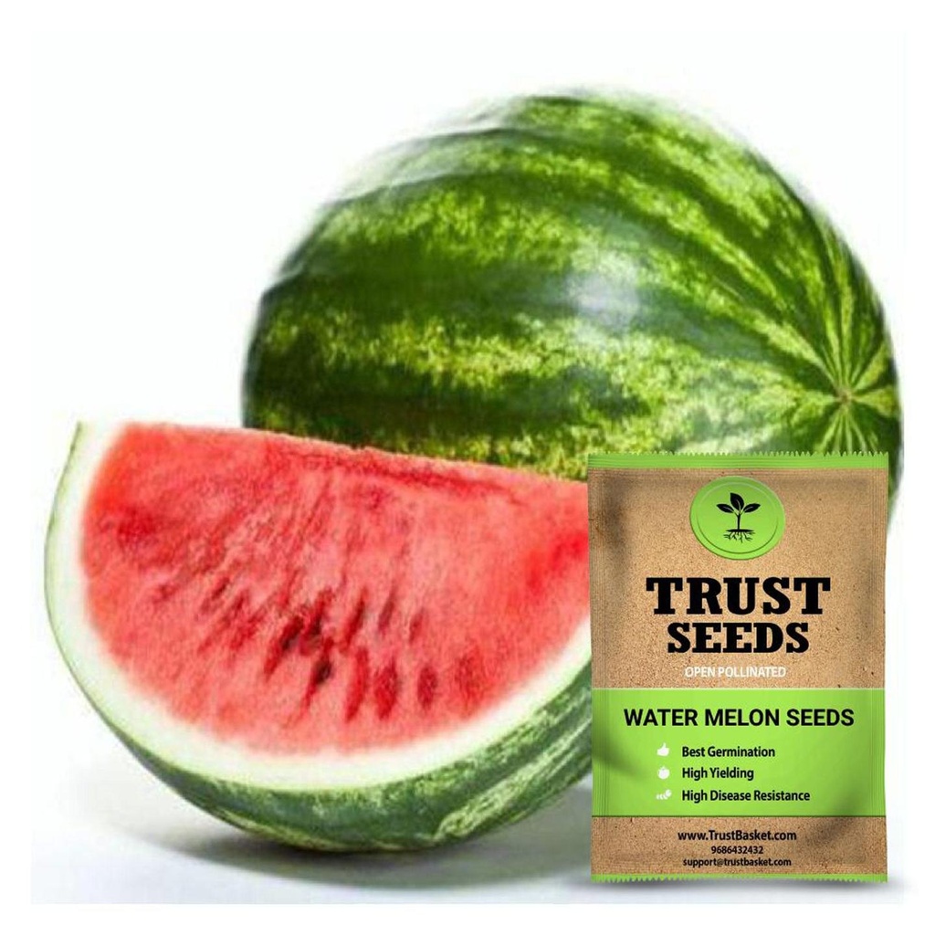 [SDOPGR2007] Water melon seeds (OP)